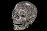 Polished Skull of Crinoidal Limestone #116419-2